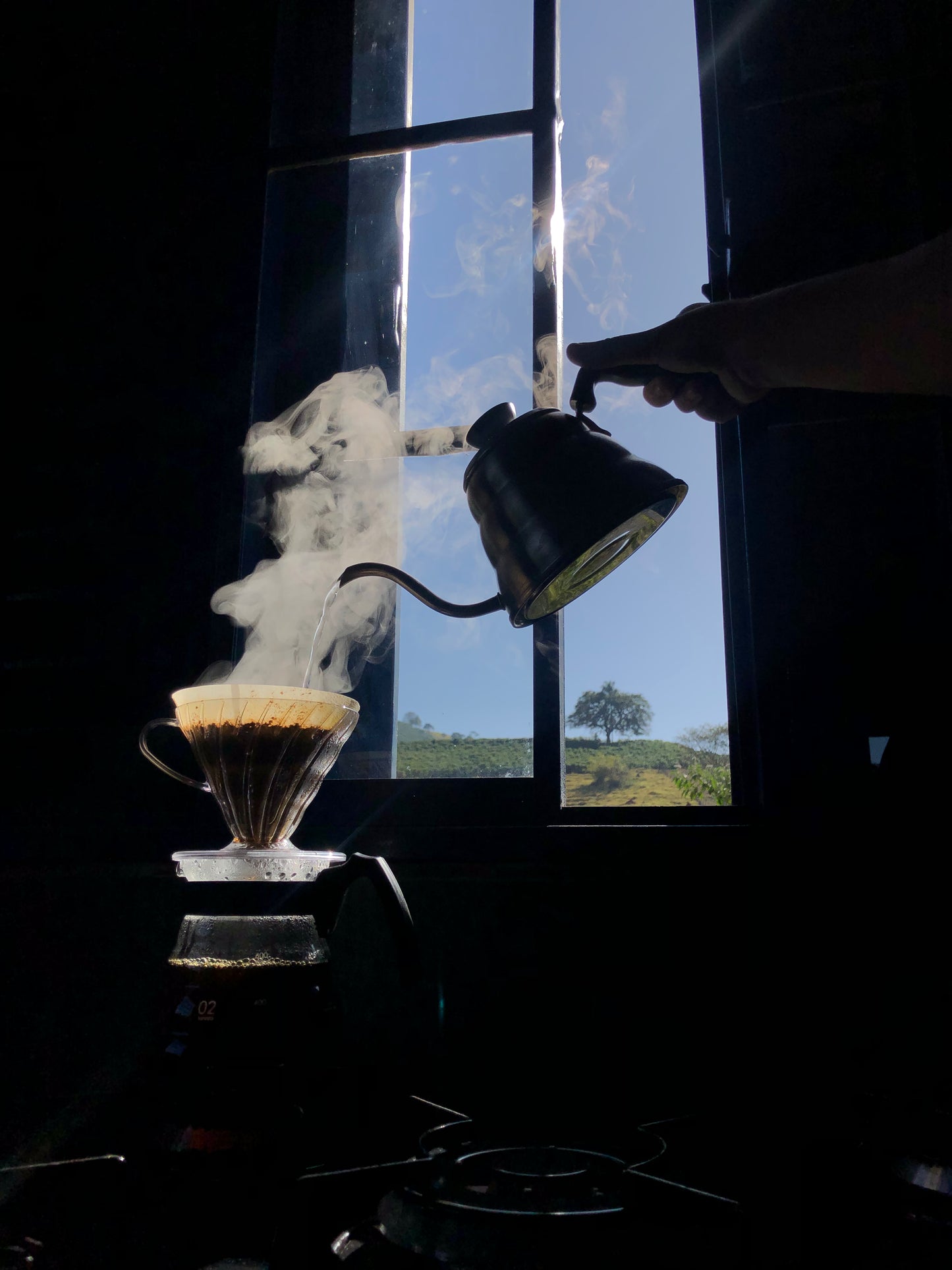 Kit Floral, Tropical e Doce | Gran Reserva 200g de cada - Café Especial